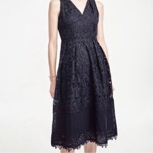 New Ann Taylor Navy Lace Fit & Flare Dress Size 4